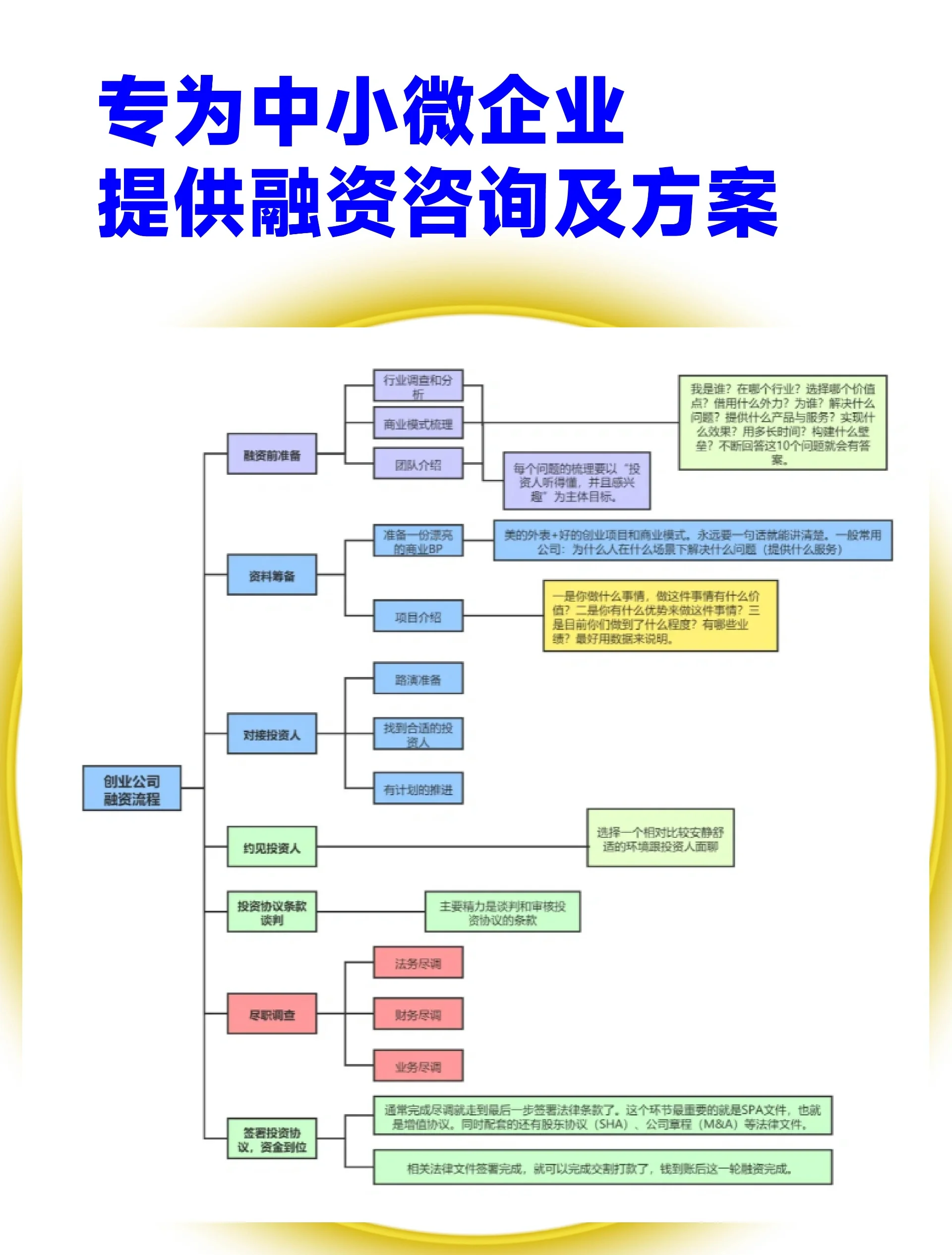 阿拉善左旗宠物企业资金管理(宠物管理机构叫什么)