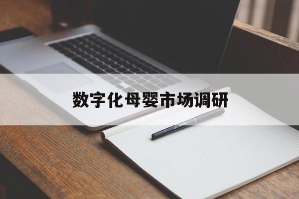 阿拉善左旗数字化母婴市场调研(数字化母婴市场调研报告)