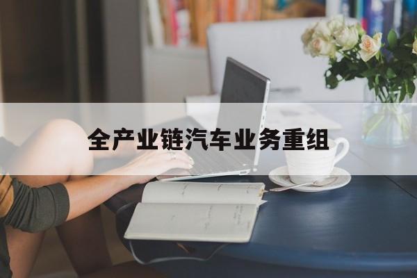 阿拉善左旗全产业链汽车业务重组(全产业链汽车业务重组的意义)