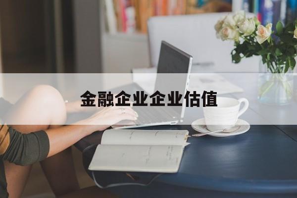 阿拉善左旗金融企业企业估值(最新企业估值怎么填)